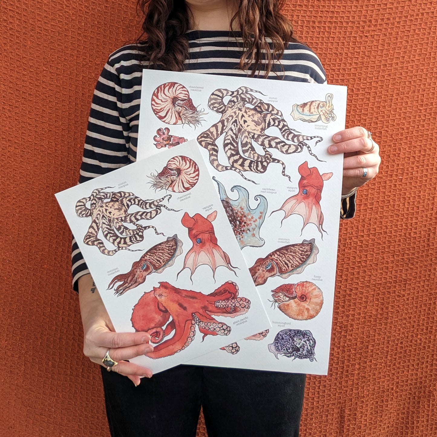 Cephalopods Print