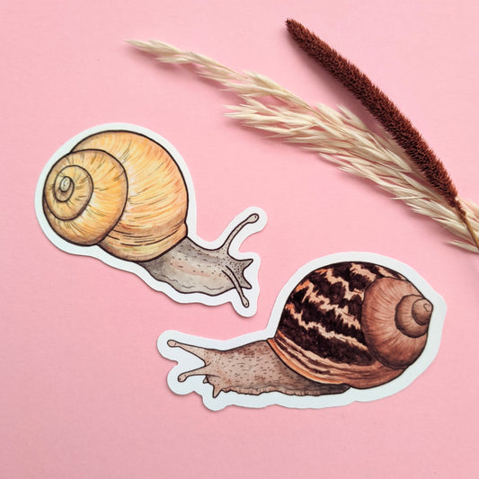 Garden Snail Sticker Pack - Set of 2