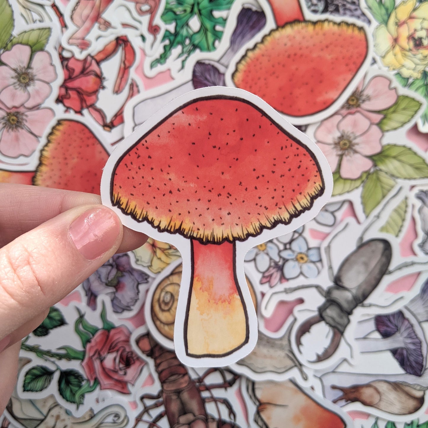 Mushroom Sticker Pack - Set of 6