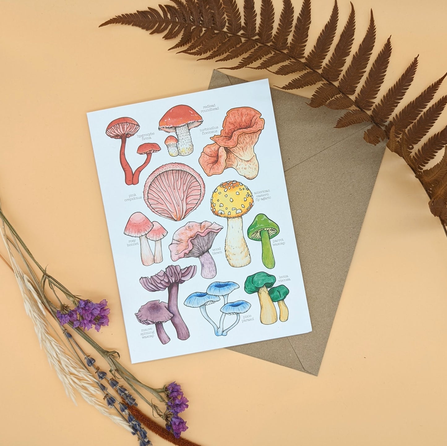 Rainbow Mushrooms Card