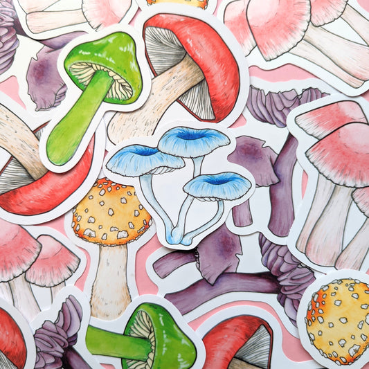 Rainbow Mushroom Sticker Pack - Set of 6