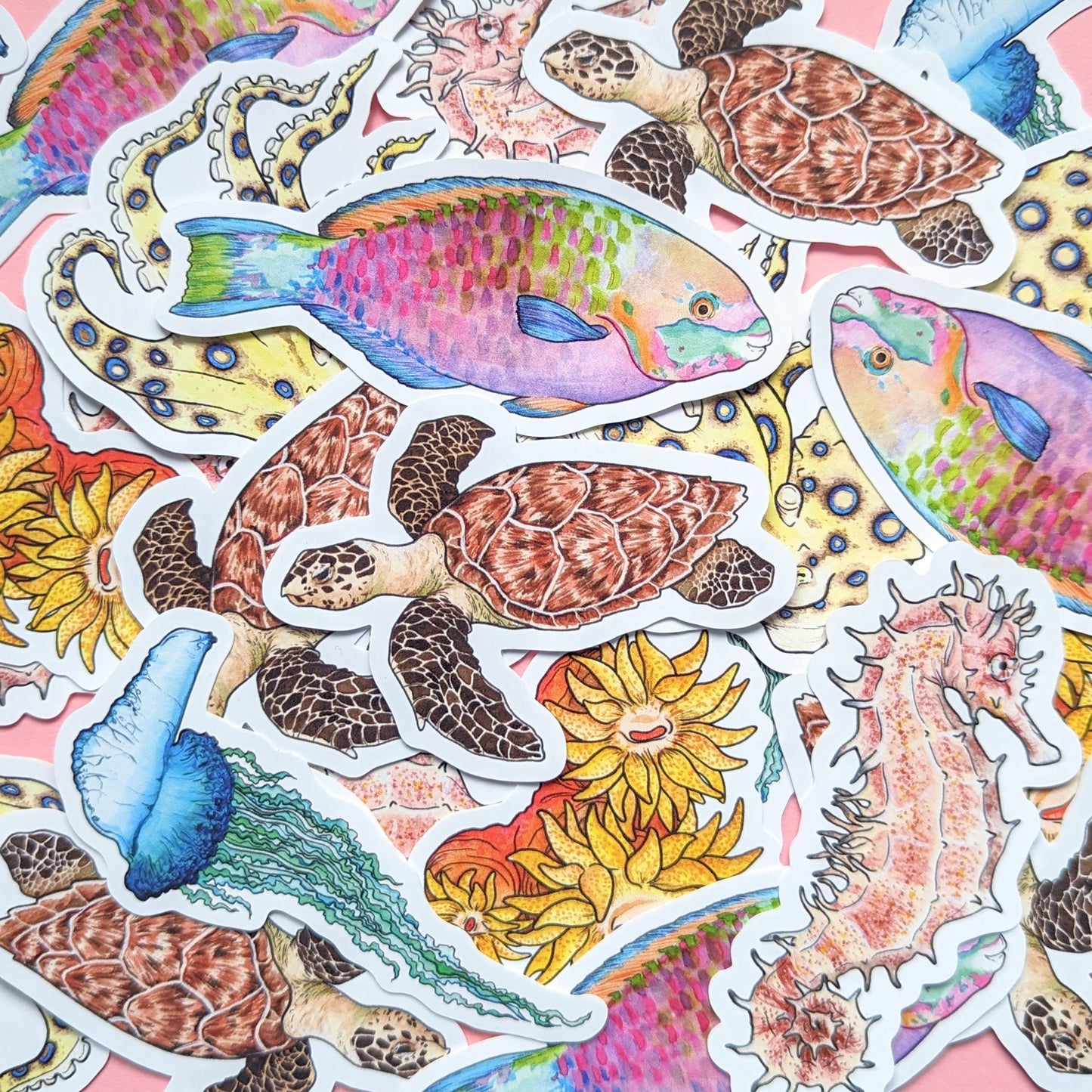 Great Barrier Reef Sticker Pack - Set of 6